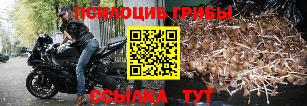 Галлюциногенные грибы GOLDEN TEACHER  наркота  Чистополь  Вход с VPN 