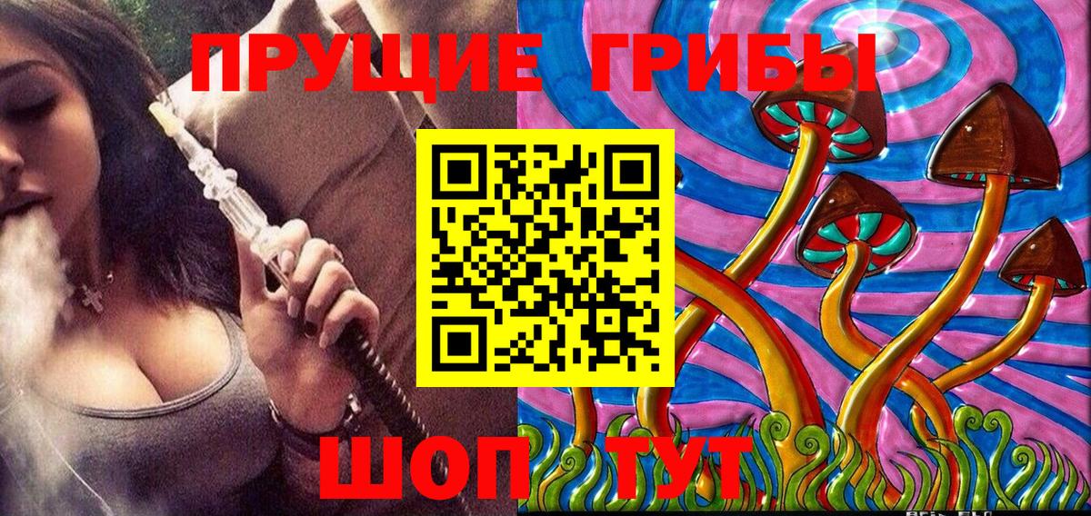 Псилоцибиновые грибы мухоморы Чистополь